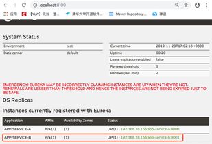 微服務技術系列教程(17): SpringCloud服務治理Eureka搭建注冊中心與互聯網域名注冊服務詳解