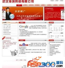 武漢海域網絡公司 從域名空間到IDC源碼的全?；ヂ摼W服務商